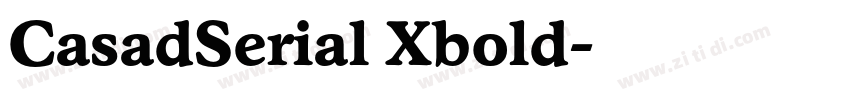 CasadSerial Xbold字体转换 CasadSerial Xbold字体转换